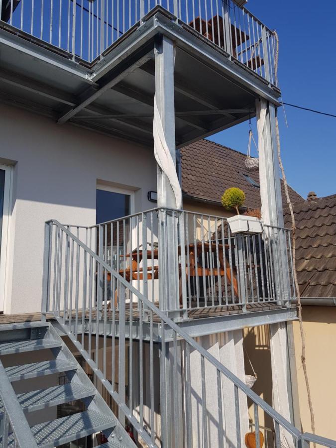 Apartament Au Gre De L'Ill 'Les Cigognes' Horbourg Zewnętrze zdjęcie