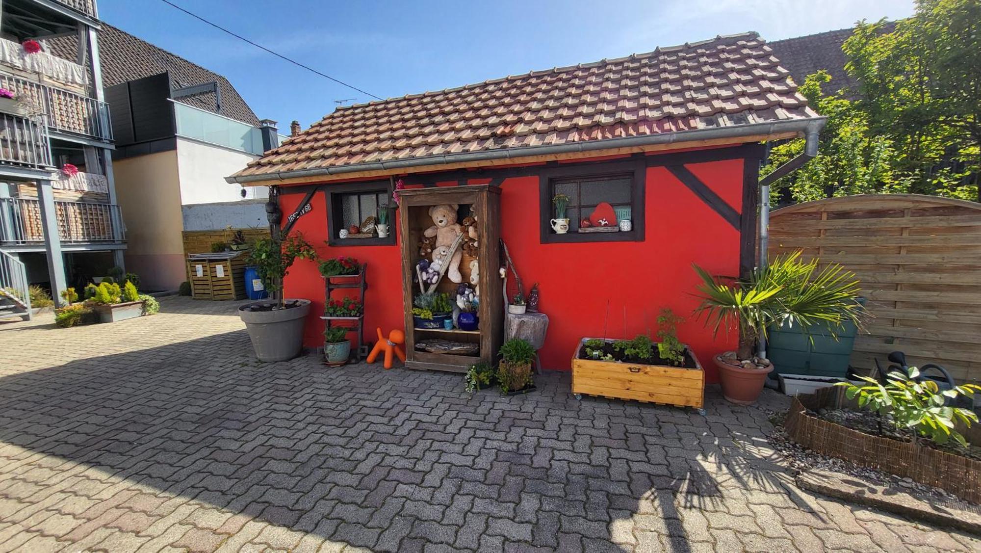 Apartament Au Gre De L'Ill 'Les Cigognes' Horbourg Zewnętrze zdjęcie
