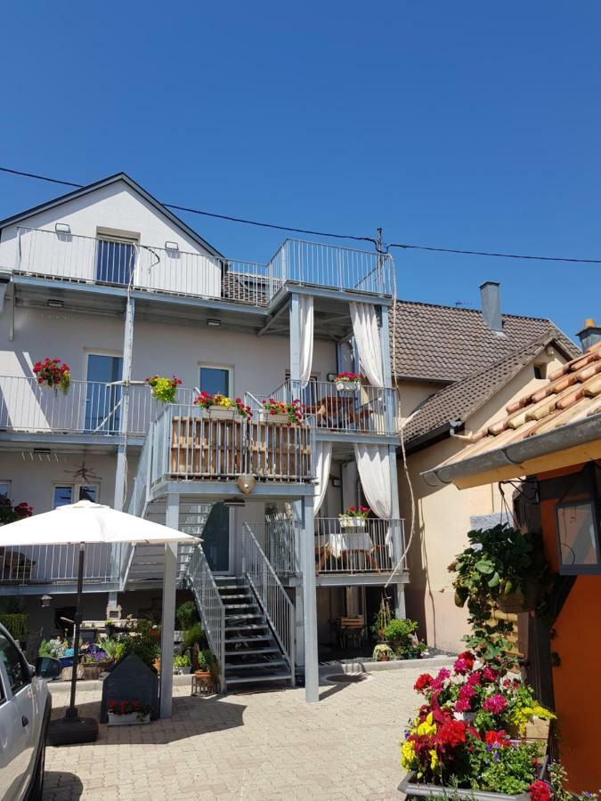 Apartament Au Gre De L'Ill 'Les Cigognes' Horbourg Zewnętrze zdjęcie