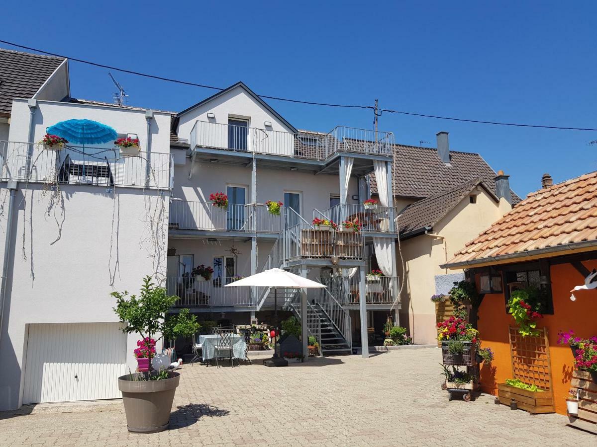 Apartament Au Gre De L'Ill 'Les Cigognes' Horbourg Zewnętrze zdjęcie